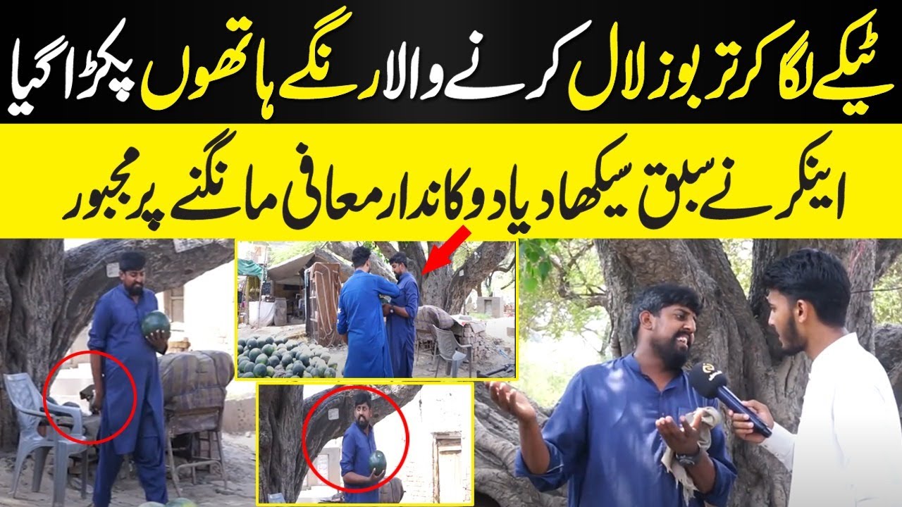 Injection In Watermelon For Red Colour And Taste || Daily Dharti ...