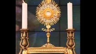 DECIDIDAMENTE   Adoração   vida participação ADRIANA      wmv   YouTube