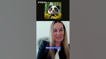 AI Attack Hidden in Panda Pictures (Koske Explained)