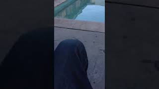 Guy rides bike off roof and lands in pool