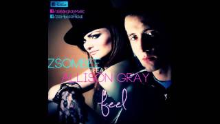 Zsombee feat. Allison Gray - Feel