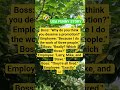 The Job Promotion...... #funny #usa #story #jokes #laugher #storts #comedy #lol #memes