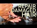 Repair Dry, Damaged Hair in One Treatment | The SASS with Susan and Sharzad