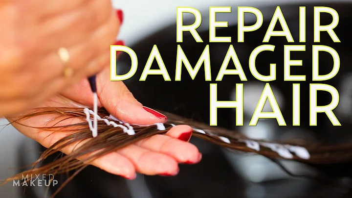 Repair Dry, Damaged Hair in One Treatment | The SA...