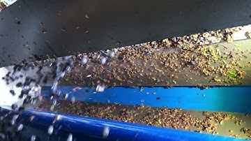 WECO 64 Inch wine grape sorter