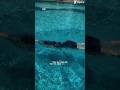 #swimming #swimmin#pool #xuhuongtiktok #swim #xuhuongyoutube #swimmingpool #gáixinh #gai #gril#bien