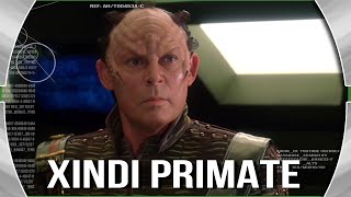 Xindi-Primate: Cultural Index