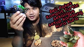 Beli paket Komplit Tank Turtle dan Setup Tank Turtle, Kura kura Brazil
