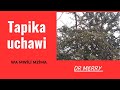 MAAJABU YA MUKHUU DR MERRY 255787232081 MAAJABU YA MUKHUU DR MERRY 255787232081