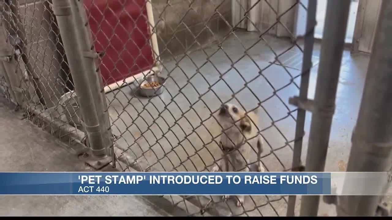 Pet stamps to fund spaying and neutering at overcrowded shelters - YouTube