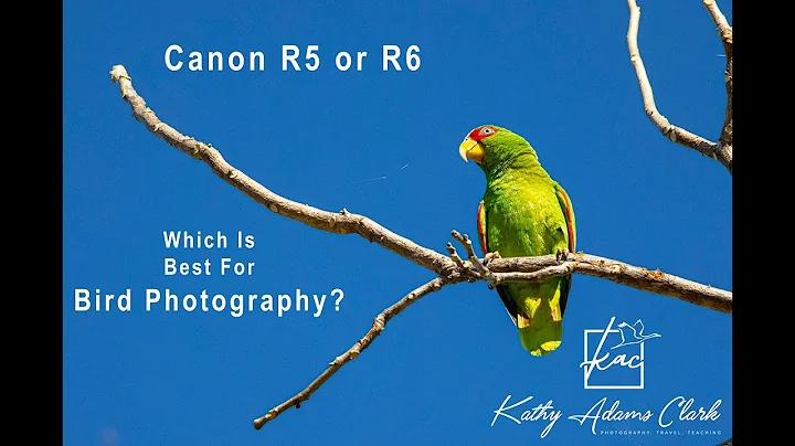 Canon R5 versus R6 -- Which is Best for Bird Photo...