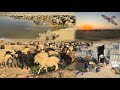 Nomadic Lifestyle in Seasonal Pastures 🌿 | Building a New Tribal Home in Nature ⛺🏔️