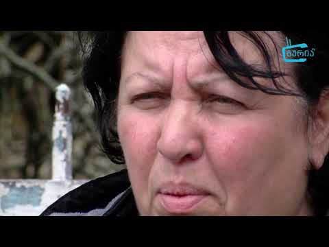 დაატოვებინებენ თუ არა გენდერულ საბჭოს დავით მჟავანაძეს