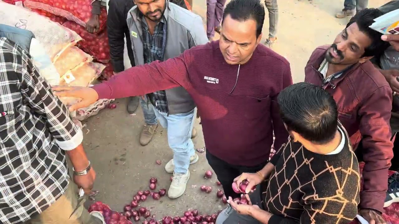 11/02/26 mandi bhaw shajapur | शाजापुर मंडी भाव 