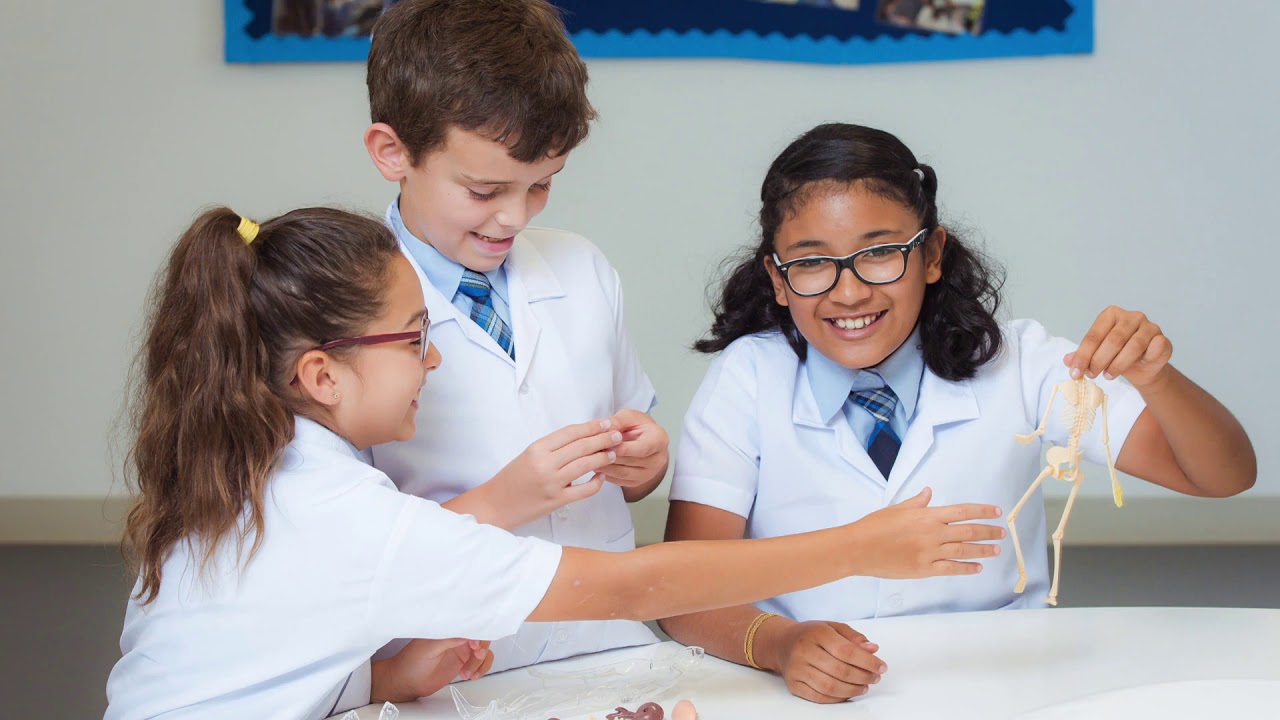 A Message to the Arcadia Family YouTube