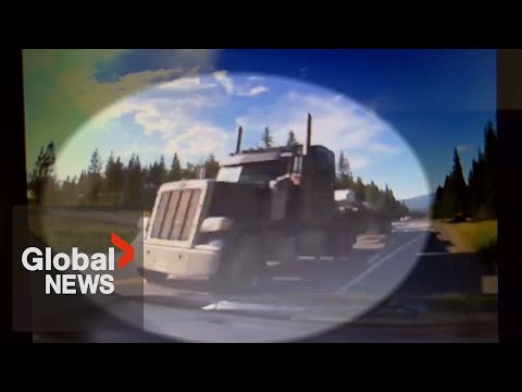 Video: Je žlutohlavá dálnice zdvojená?