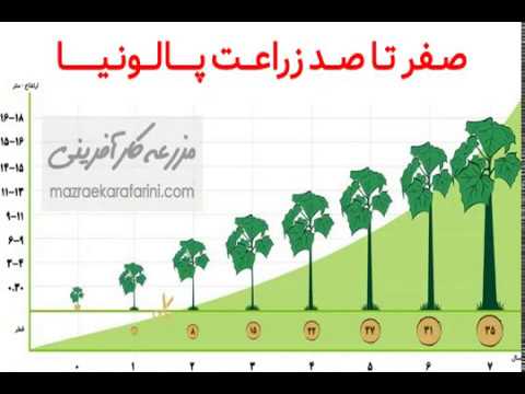 تصویری: آیا می توانید هیبریدهای بید را هرس کنید؟