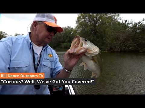 Curious? Well, We've Got You Covered | Bill Dance Outdoors TV (Full Episode)