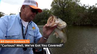 Celebrity Curious? Well, We've Got You Covered | Bill Dance Outdoors TV (Full Episode) Net Worth