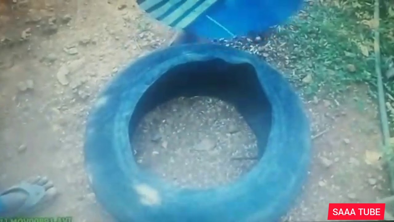 How to make Fish tank home??? In malayalam. YouTube