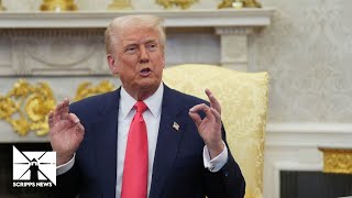 Trump comments on Rosie O'Donnell's move to Ireland following his election win