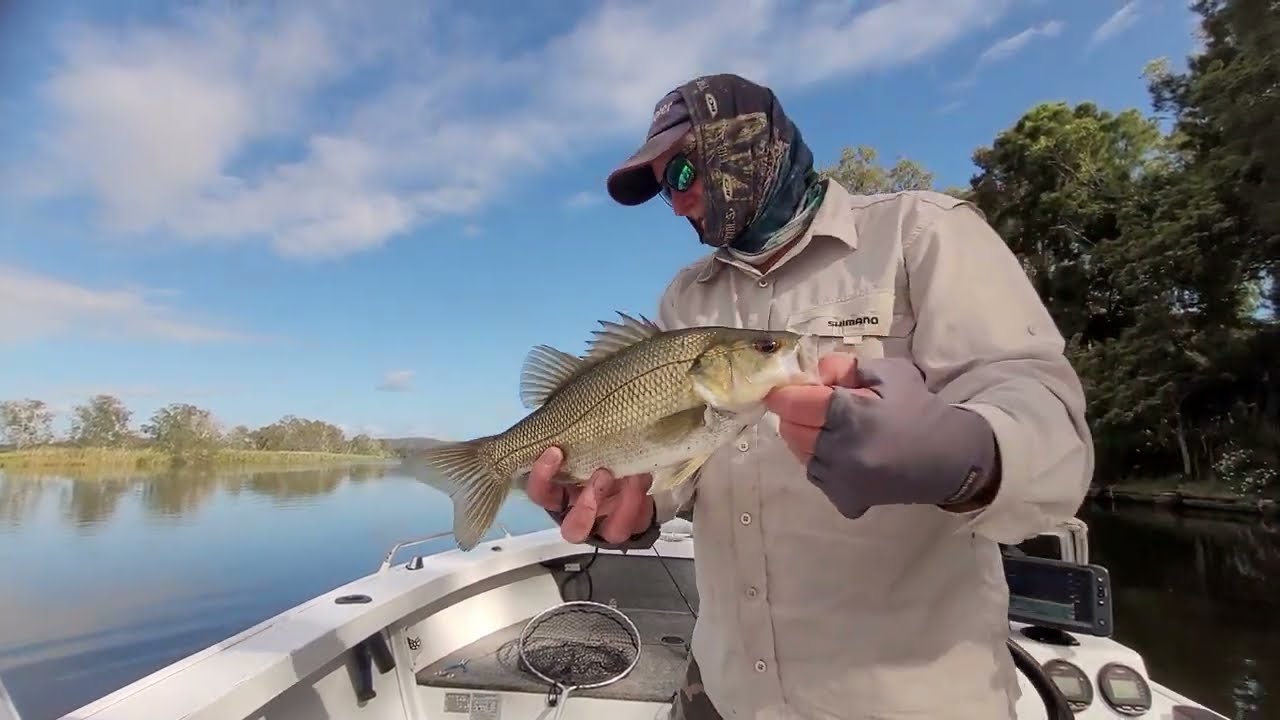 Bass Fishing Chasebaits soft shell cicada