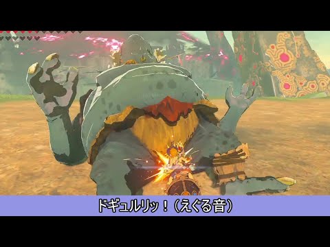 【ブレワイ】依頼を受けて、馬の全力疾走でヒノックスのお股に突っ込んでみた【ドリカラ】【ゼルダの伝説ブレスオブザワイルド,BotW,ゼル伝,字幕実況】