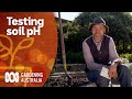 How to test your soil