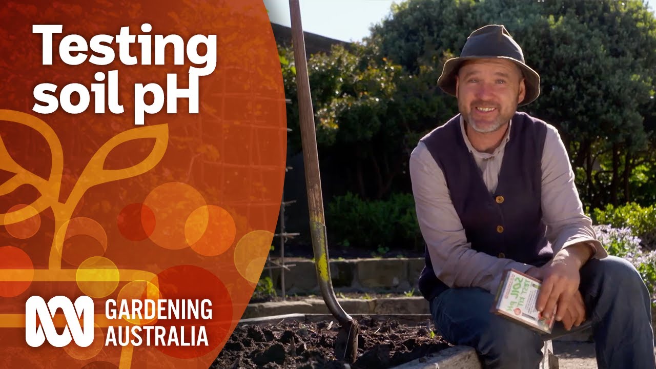 How to test your soil's pH and what it means for your plants ...