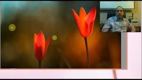 Installing AdobeConnect On Premise 10 8 Part1 Transmuxing service HTML5