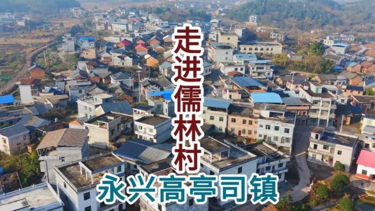 走进永兴县高亭司镇儒林村 走进永兴县高亭司镇儒林村。儒林村是高亭司镇最大的村庄之一，全村以李姓为主，村庄东北临九山河，西南靠 G107 国道，地理位置优越，交通便利。儒林村历史悠久，李氏始祖申元公