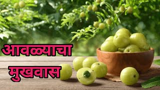 २ वेगळ्या पद्धतीने बनवलेला आवळ्याचा मुखवास | Awala Mukhwas Recipe In Marathi