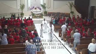9:00 am Daily Mass (Thursday, April 30, 2026)