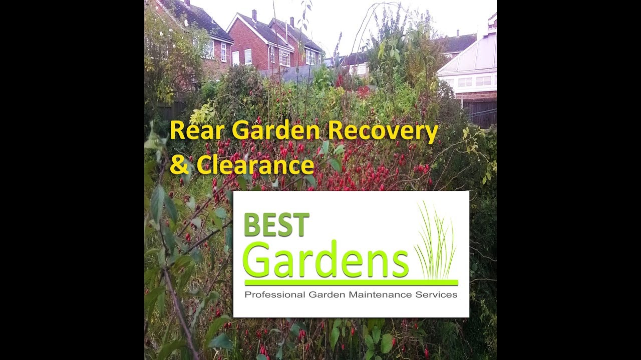 Garden Recovery & Clearance YouTube
