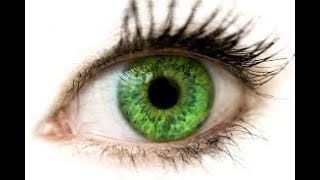 top 10 green eye facts