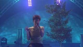 秋桜～more&more～