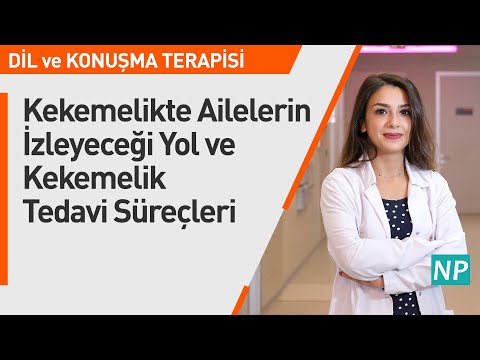 Kekemelikte Ailelerin İzleyeceği