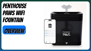 REVIEW (2026): Penthouse Paws WiFi Fountain. Features