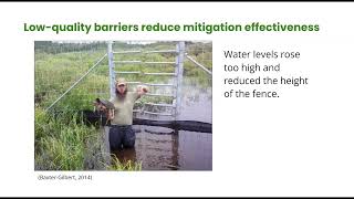 A Low Cost, High Quality Solution to Mitigating Road Mortality in Turtles
