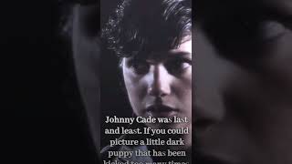 6 Months Later And Im Still Obsessed With The Outsiders