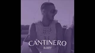 Cantinero  x   R-bey
