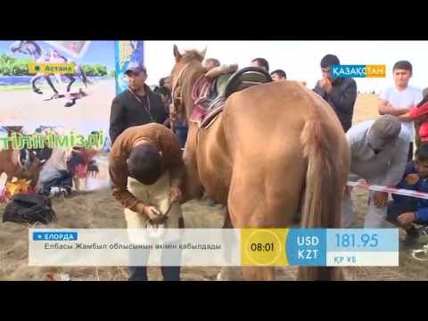 Ат тағалау сыры