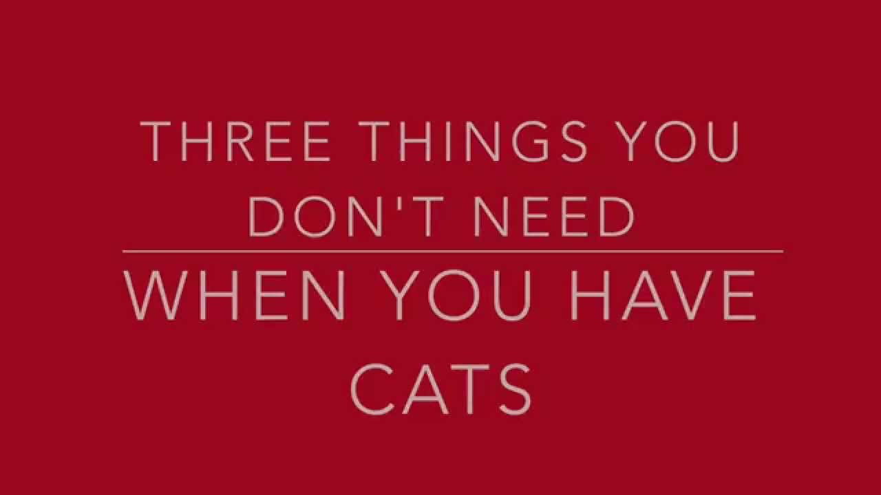 Three Useless Things When You Have Cats YouTube