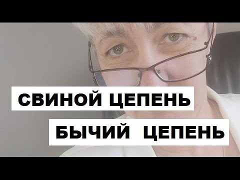 🔴 БЫЧИЙ И СВИНОЙ  ЦЕПЕНЬ🔴 ВРАЧ Бублик Н Н WhatsApp 8(950)0330055