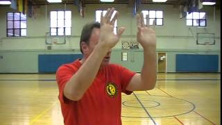 Self Defense Drill: Application of Tiger Claw Strikes screenshot 5