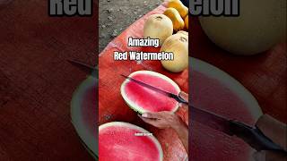 Amazing red watermelon cutting ‼️#shortvideo #feedshorts #watermelon