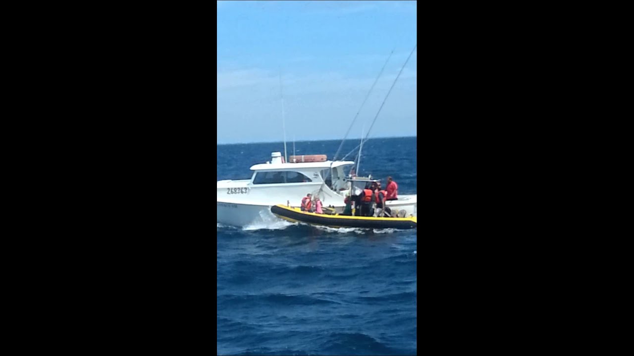 Capt Stacy VII Reel Country rescue