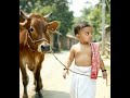 AI Videos #aivideo #cutebaby #catshorts #catanimation #catanimal #humanbody #cats #catvideos #cat