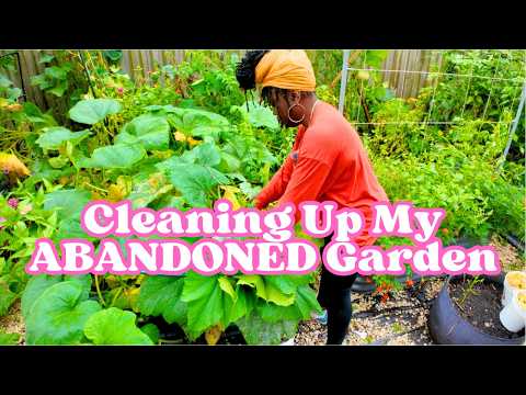 HOW DID I LET IT GET THIS BAD😞!?Taking Beck My OVERGROWN Garden 💪🏾