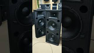 SRX725 dual 15 inch speaker, with high power ferrite magnet woofer